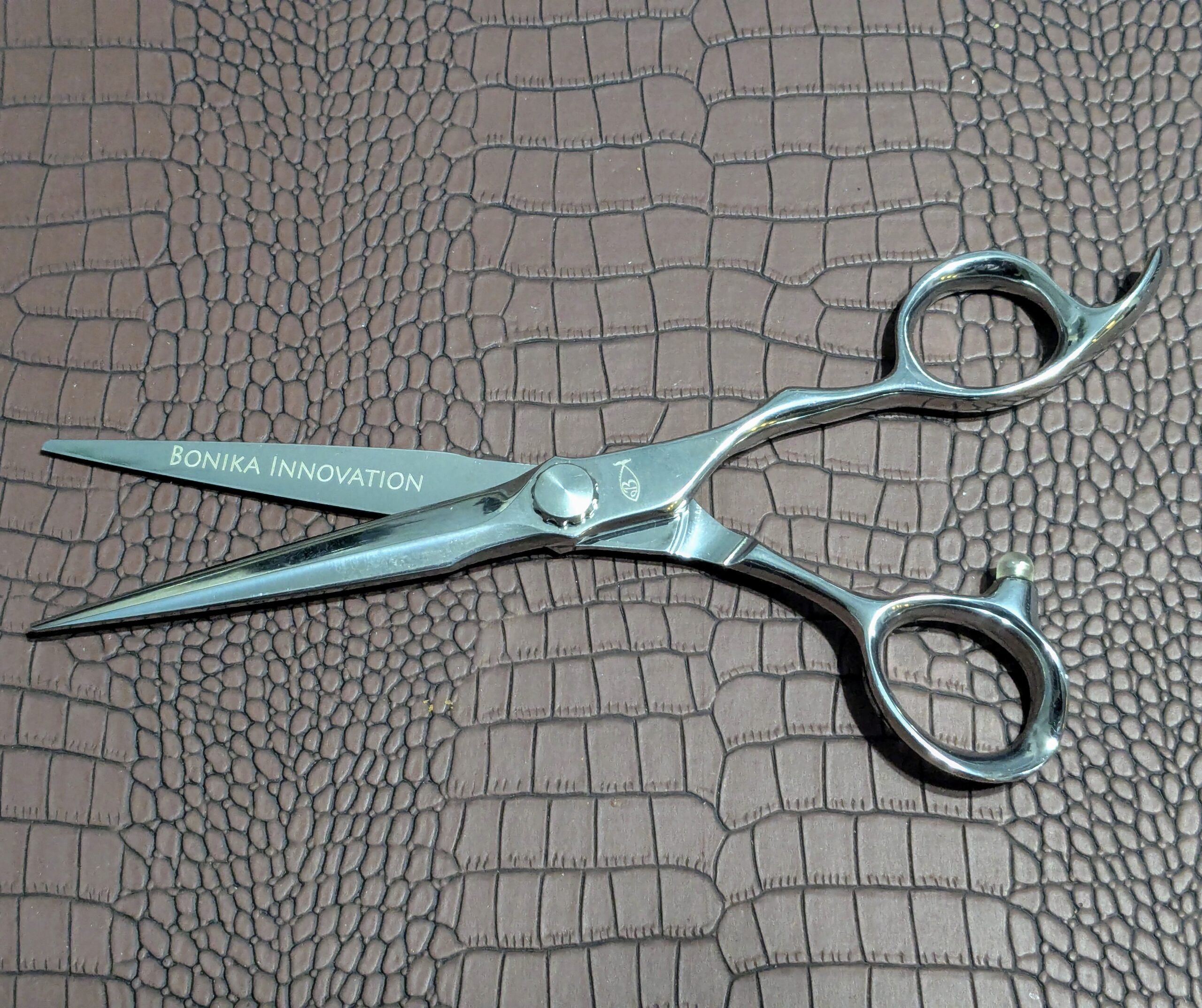 Salon Shear Maintenance: Best Practices for Longevity and Precision