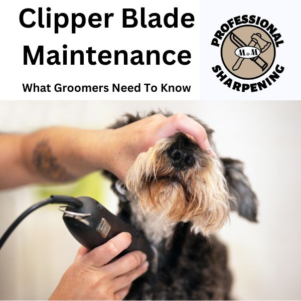 Clipper Blade Maintenance: What Groomers Need To Know